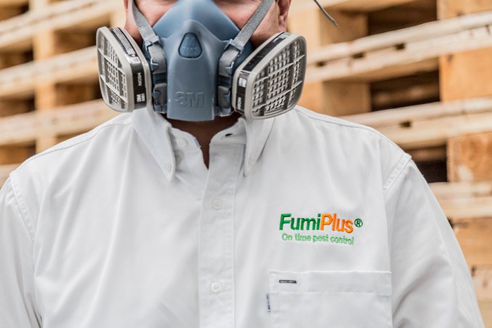 Fumigaciones en Tijuana FUMIPLUS